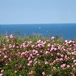 Maison Tranquille Boulogne-sur-Mer