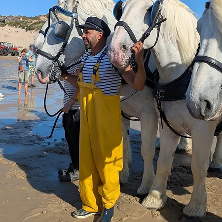 Maison Tranquille 度假居 *