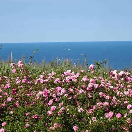 Maison Tranquille 滨海布洛涅